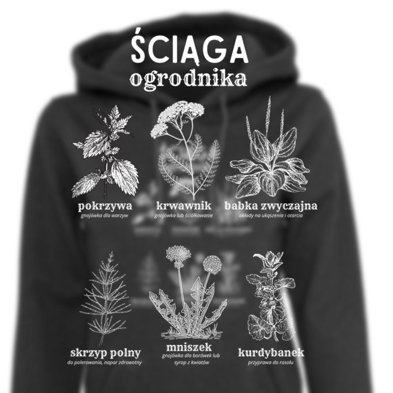 Bluza z kapturem ŚCIĄGA OGRODNIKA