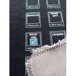 Koszulka męska Korona gór polskich z naprasowankami